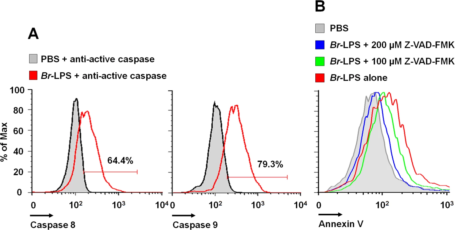 <i>Br-</i>LPS induces activation of caspase 8 and 9 in PMNs.