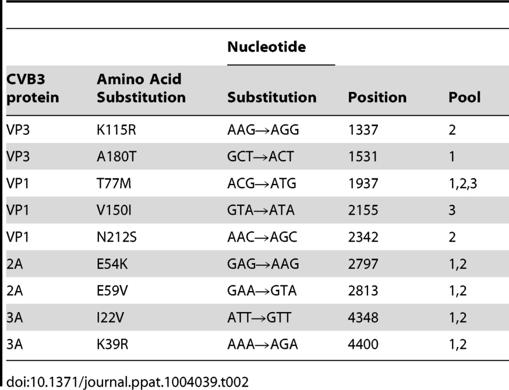 Amino acid mutations identified in three CVB3 pools following selection of GSH-insensitive variants.