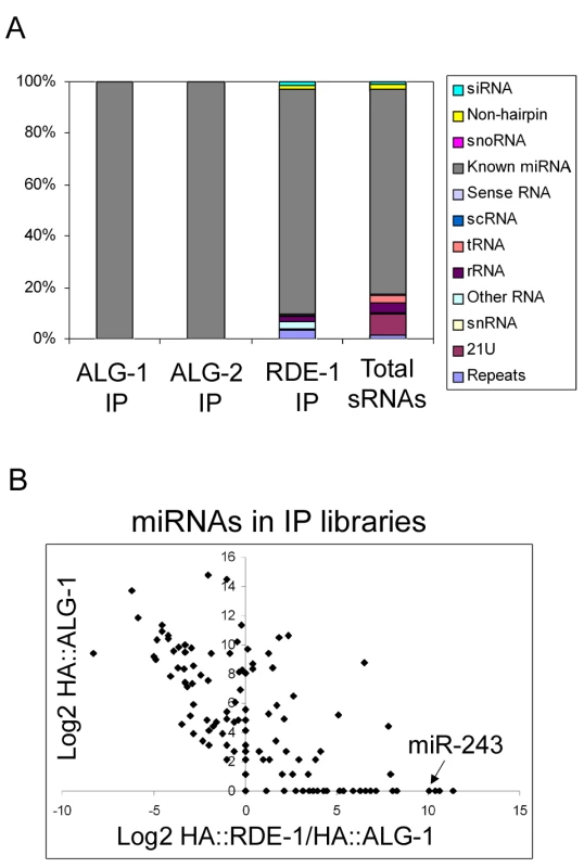 Overview of the small RNAs found in HA::ALG-1, HA::ALG-2, and HA::RDE-1 immunoprecipitate libraries.