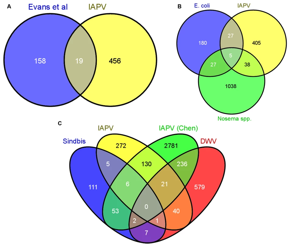 Comparative analysis of transcriptional responses to different immunostimulants.