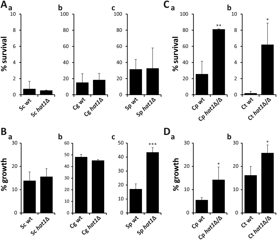 Resistance phenotypes caused by loss of Hat1 are specific for <i>C</i>. <i>albicans</i>.