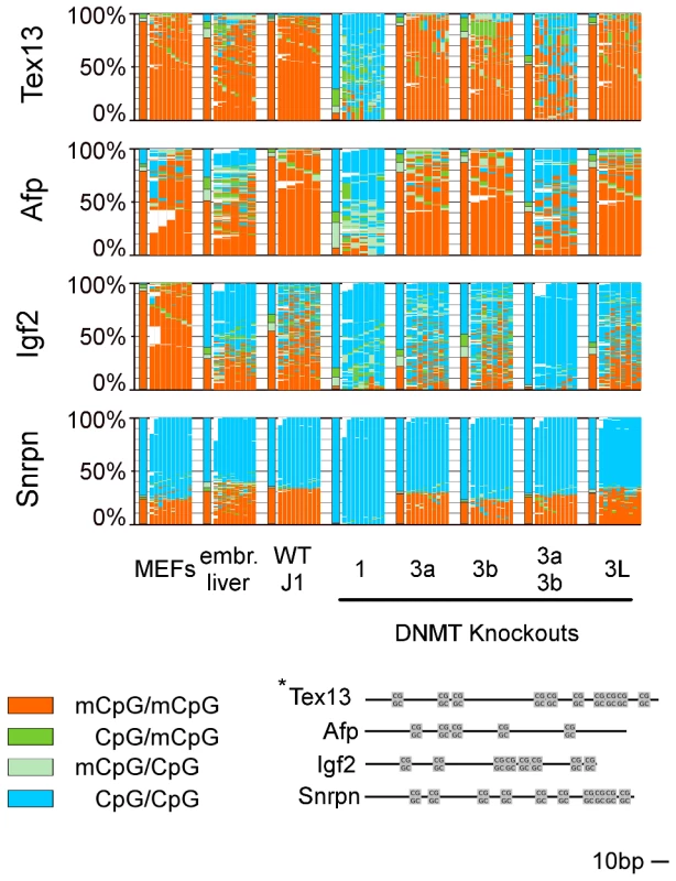 Methylation pattern of 4 single copy genes in WT ESCs, embryonic liver, and MEFs and in Dnmt KO ESCs.