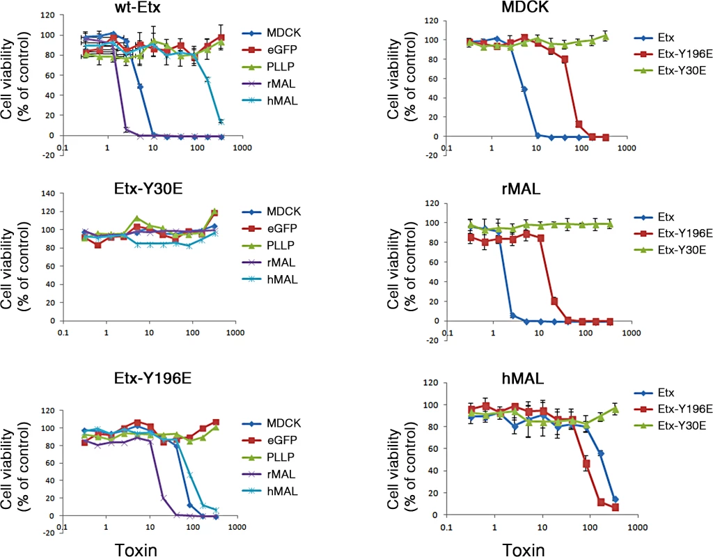 Specific aromatic residues within domain 1 of ETX are required for toxin activity in MAL-expressing CHO cells.