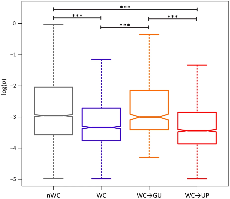Intra-population frequencies of nWC and single-site WC replacement polymorphisms in the HIV-1 genome.