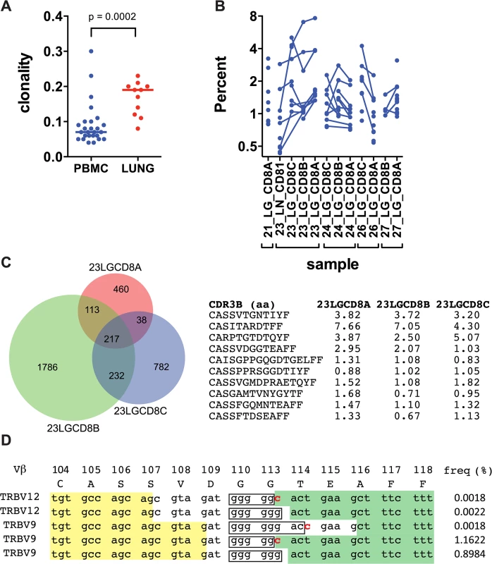 Human CD8+ T cells undergo clonal expansions in lung granulomas.