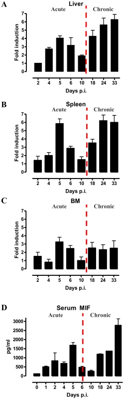 MIF expression exhibits biphasic profiles during <i>T. brucei</i> infection.