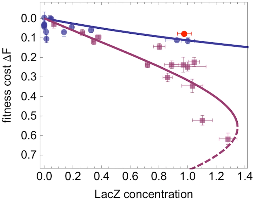 Fitness of <i>lac</i> regulatory mutants in different environments.