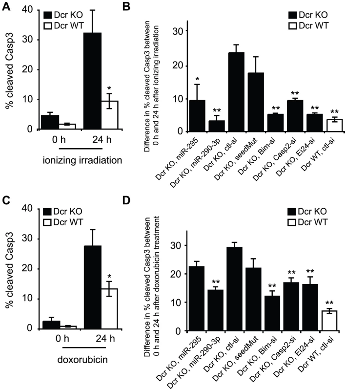 Downregulation of Casp2 and Ei24 partially rescues the increased apoptotic rate of Dcr KO cells following genotoxic stress.