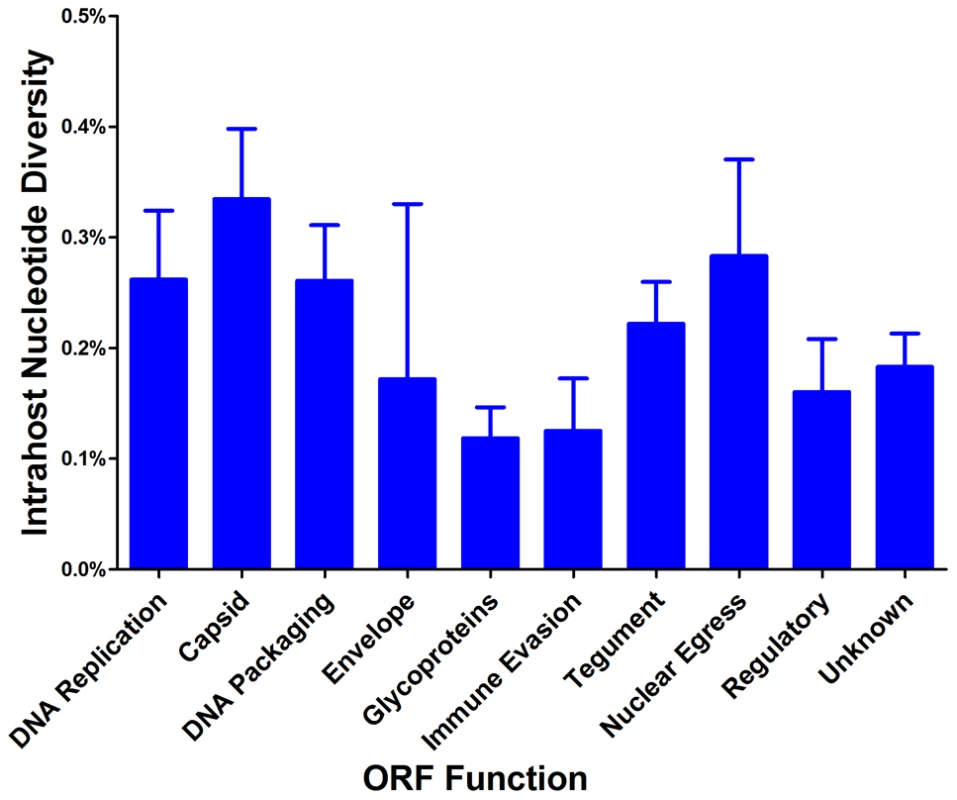 HCMV intrahost nucleotide diversity is significantly correlated with ORF function.