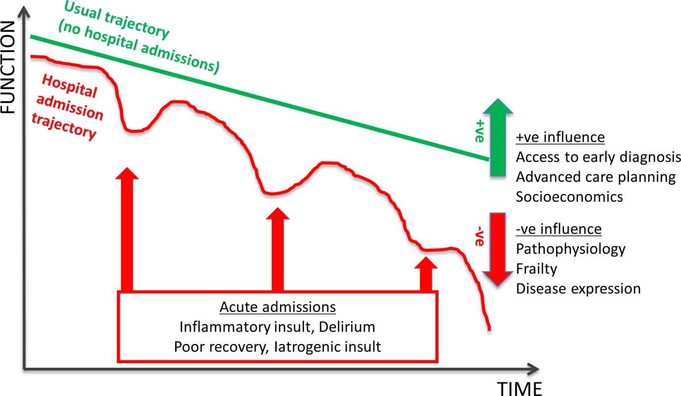 Schematic representation of dementia disease trajectory over time influenced by hospital admission.