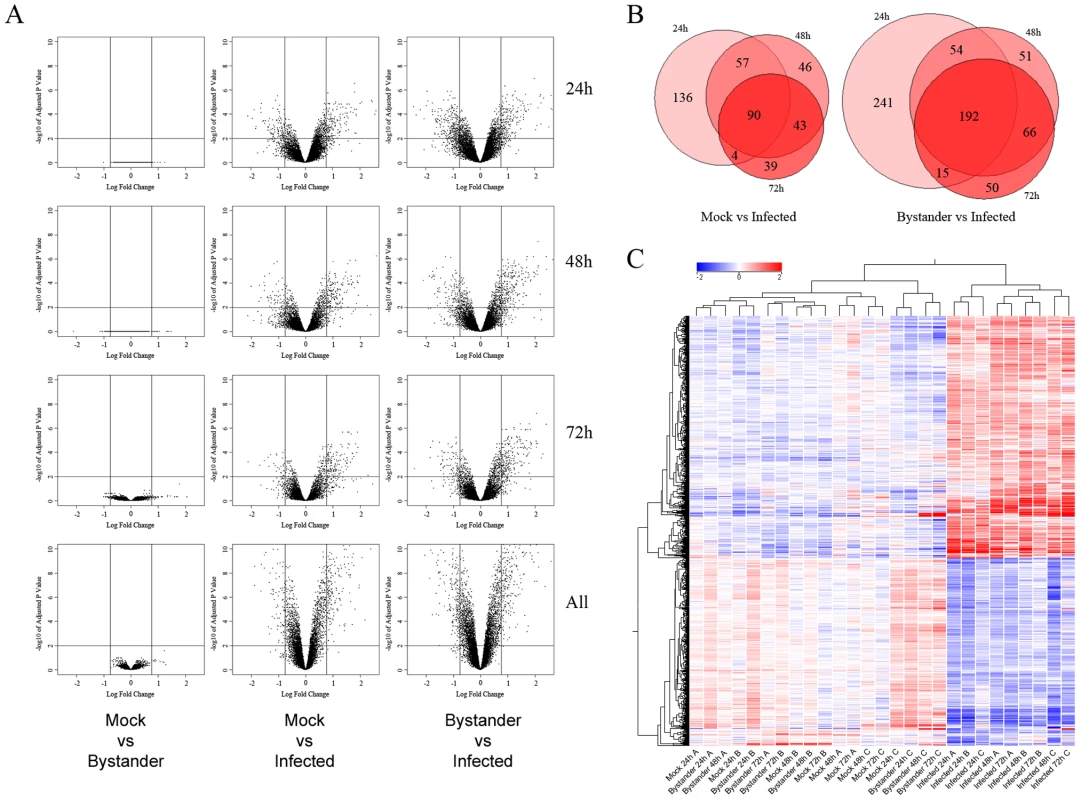 Transcriptomic profile of mock-infected, uninfected bystander and HIV-1-infected cells.