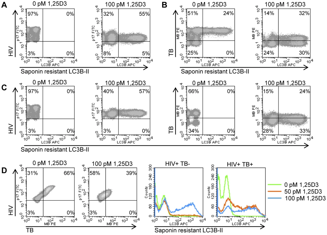1,25D3 induces autophagy in human macrophages co-infected with HIV and <i>M. tuberculosis</i>.
