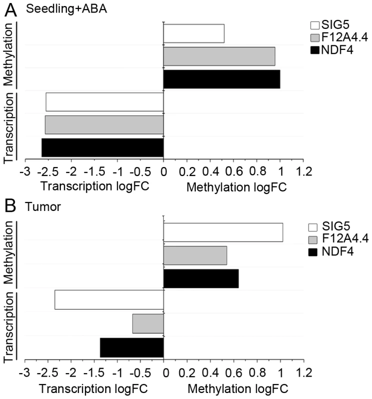 ABA induces methylation and reduces transcript levels.