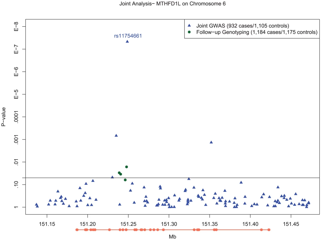 Manhattan plot of SNP associations in <i>MTHFD1L</i>, on chromosome 6 between 151.2 Mb and 151.3 Mb.