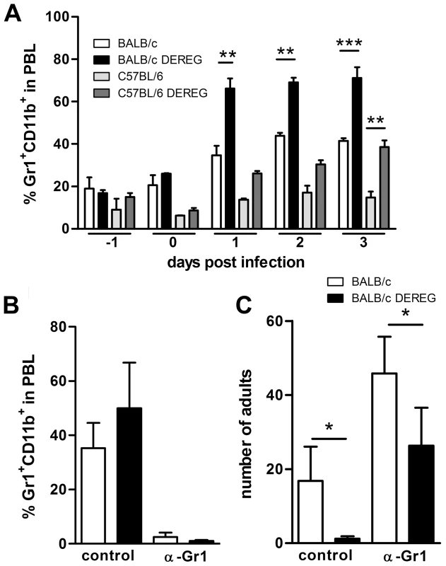 Improved resistance in Treg-depleted BALB/c DEREG mice in the absence of granulocytes.
