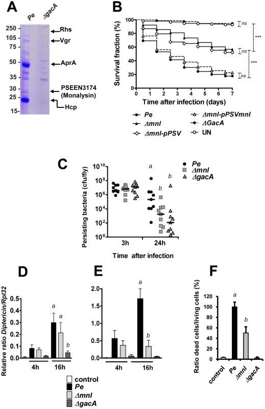 PSEEN3174 encodes a secreted protein, Monalysin, required for <i>P. entomophila</i> virulence.