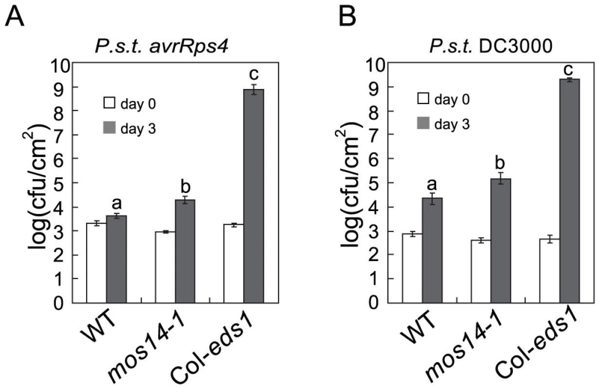 <i>mos14-1</i> compromises <i>RPS</i>4-mediated immunity and basal resistance.