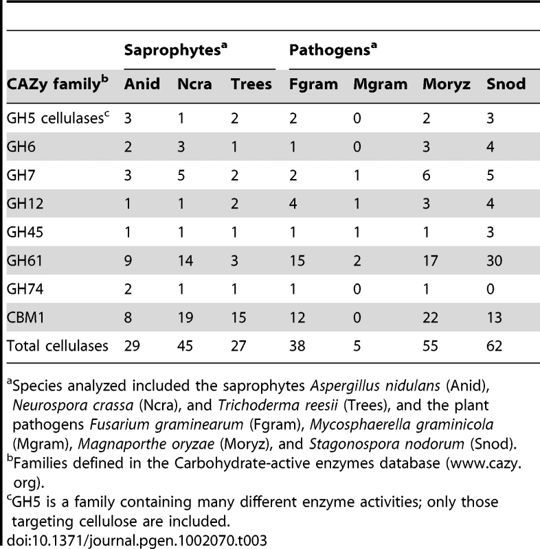 Numbers of predicted enzymes degrading cellulose across seven ascomycete species with sequenced genomes.