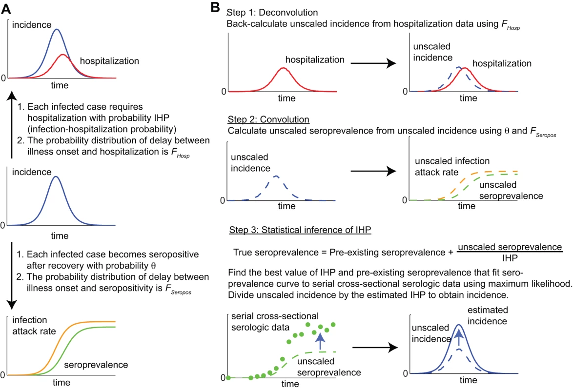 A schematic of the convolution-based method for real-time estimation of IHP and IAR from hospitalization and serial cross-sectional serologic data.