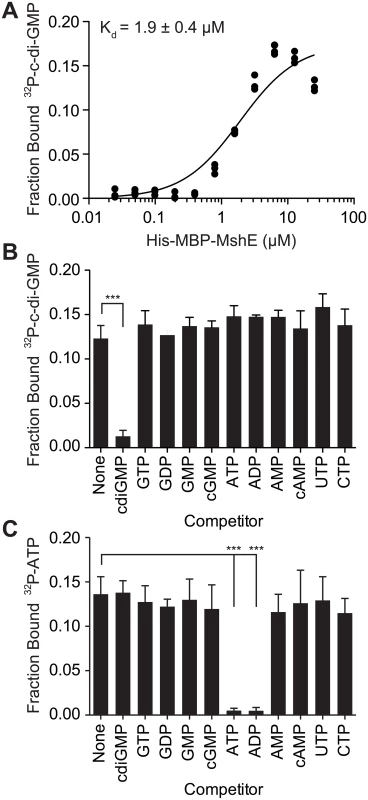 C-di-GMP bind to MshE ATPase with high affinity, specificity and independently of ATP.