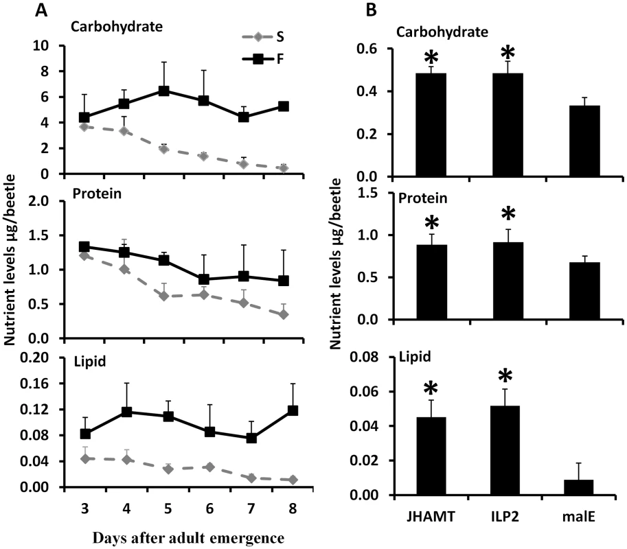 JH and ILP2 regulate carbohydrate, protein, and lipid metabolism during starvation.