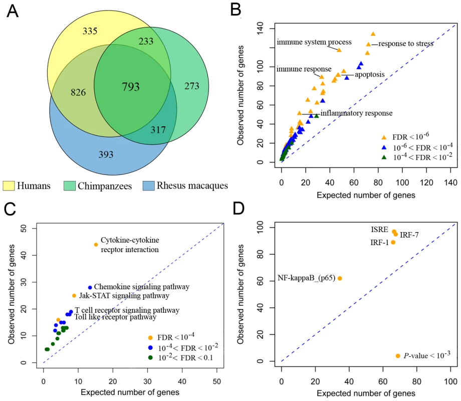 LPS-mediated innate immune response to infection in humans, chimpanzees, and rhesus macaques.
