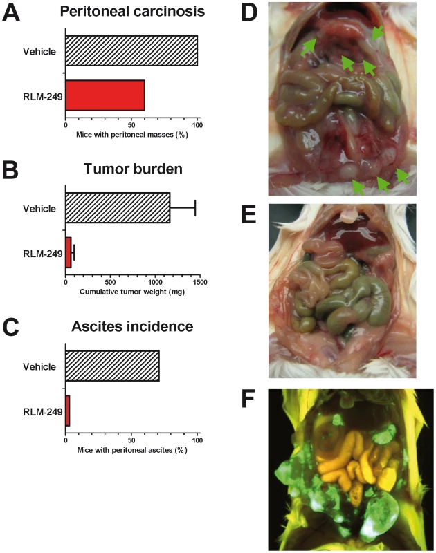 Therapy with R-LM249 of Rag2<sup>−/−</sup>;Il2rg<sup>−/−</sup> mice bearing i.p. human SK-OV-3 ovarian carcinoma.
