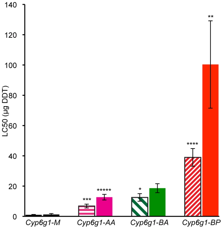 DDT resistance correlates with <i>Cyp6g1</i> allelic class.