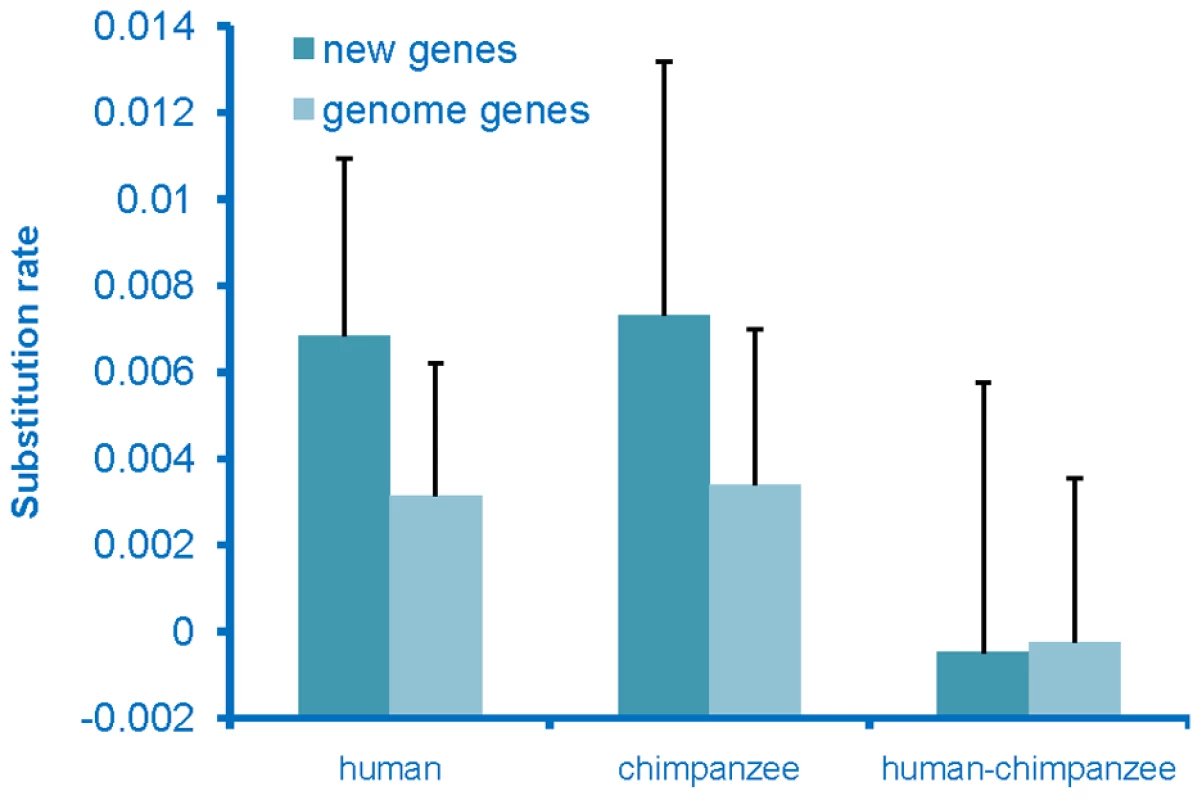 Rate of evolution of de novo originated genes.
