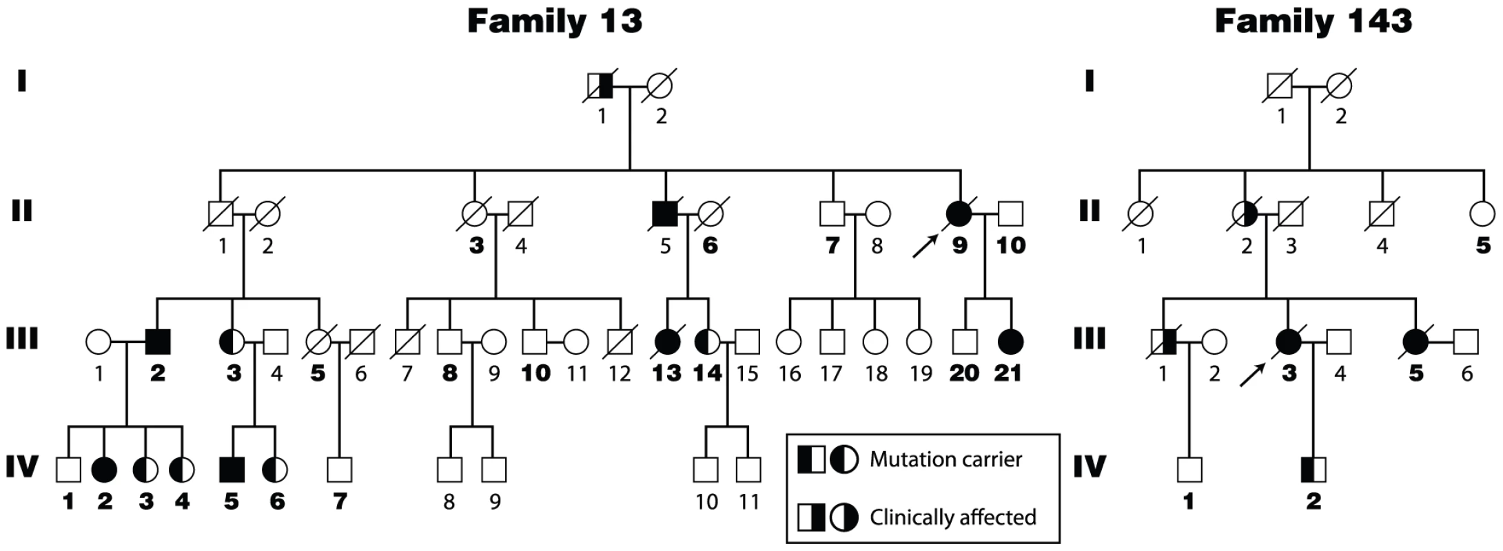 Four generation pedigrees of pulmonary fibrosis probands from Families 13 and 143 of the Vanderbilt Registry.