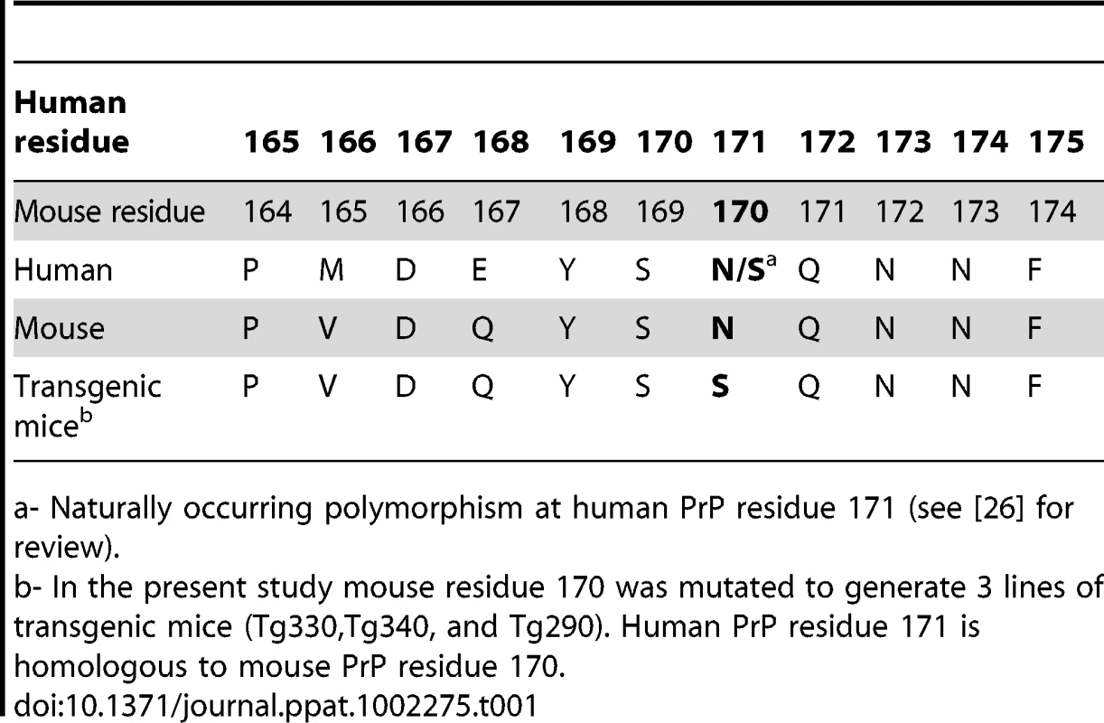Comparison of PrP residues in humans, mice and transgenic mice generated in the present study.