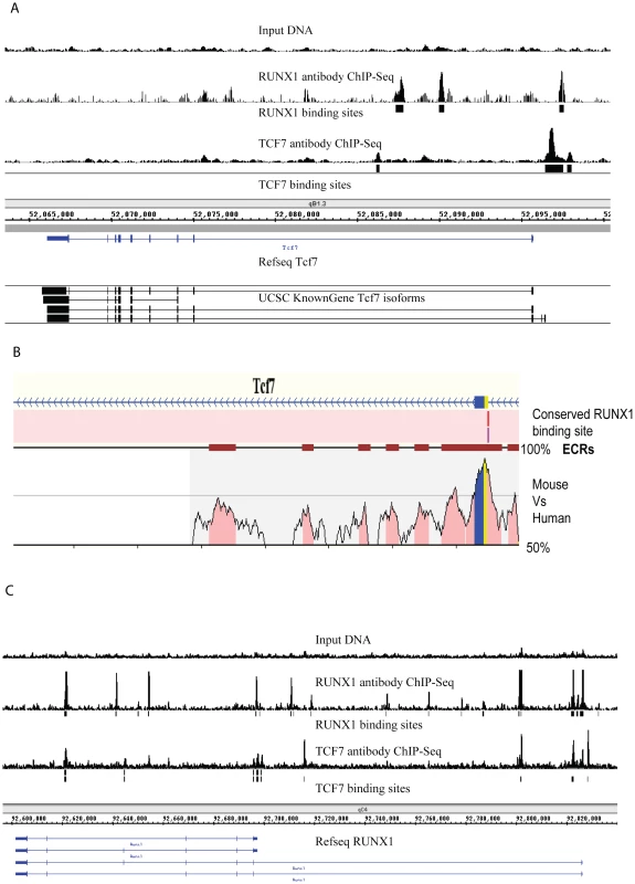 Identification of transcription factor binding targets using ChIP–Sequencing.