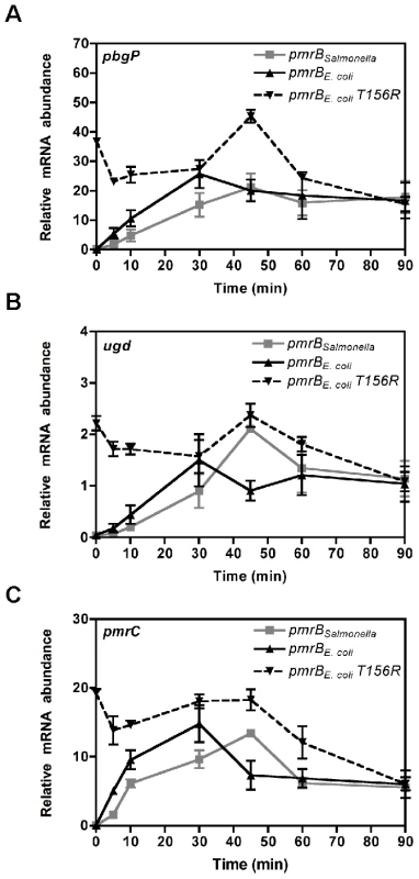 The source of <i>pmrB</i> determines activation kinetics of PmrA-controlled genes.
