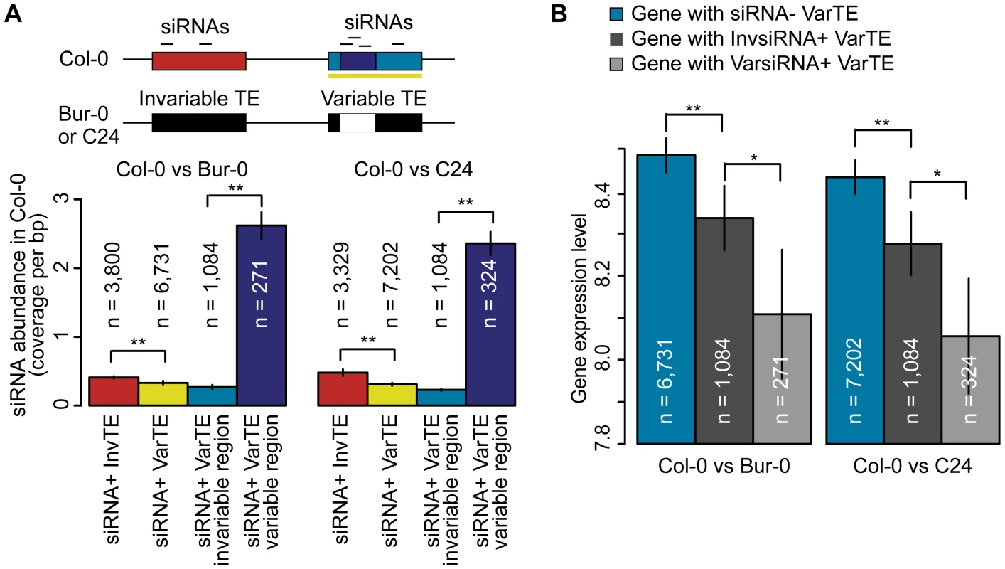 siRNA–targeting of VarTEs and the effect on proximal gene expression.