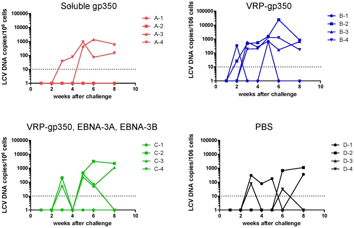 Detection of rhesus LCV DNA in the blood of monkeys immunized with soluble gp350, VRP-gp350, a combination of VRP-350, VRP-EBNA-3A, and VRP-EBNA-3B, or PBS.