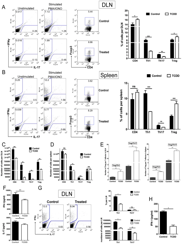 Differential effect of TCDD treatment on Treg and effector T cells in lymphoid organs of TCDD treated animals.