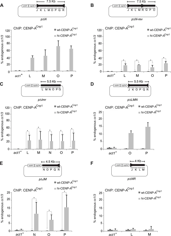 Centromeric DNA sequence affects CENP-A<sup>Cnp1</sup> chromatin establishment.
