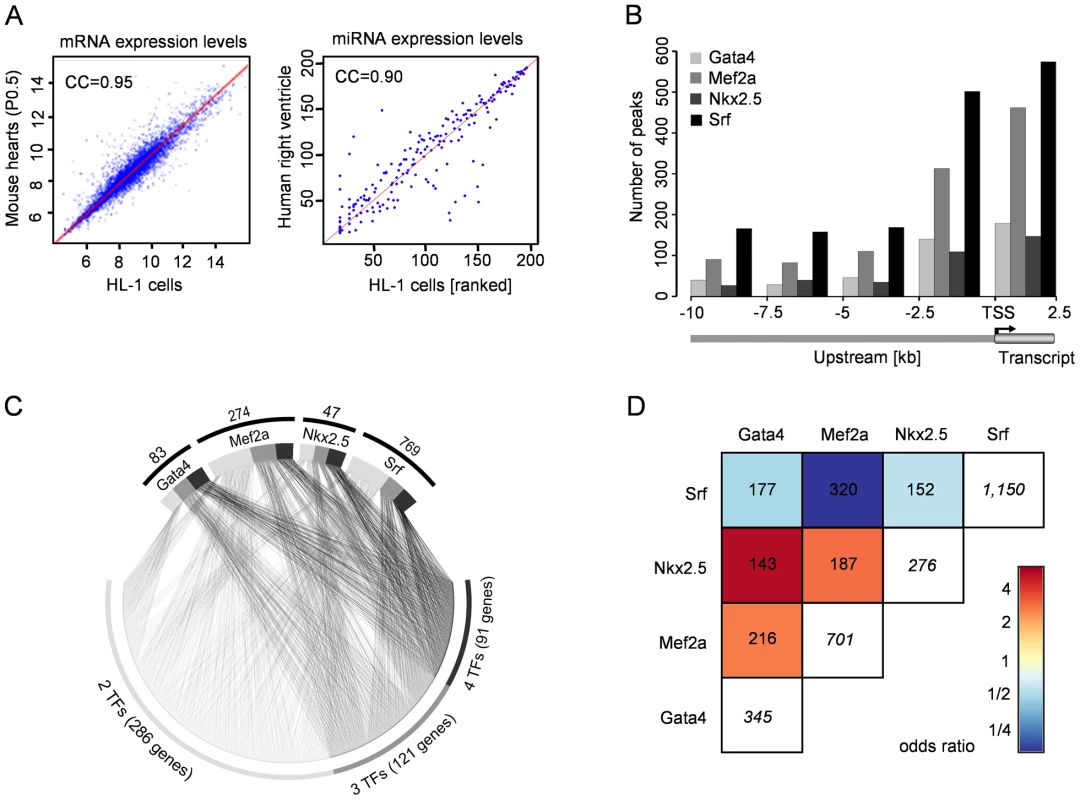Binding site location and co-occurrence of Gata4, Mef2a, Nkx2.5, and Srf.