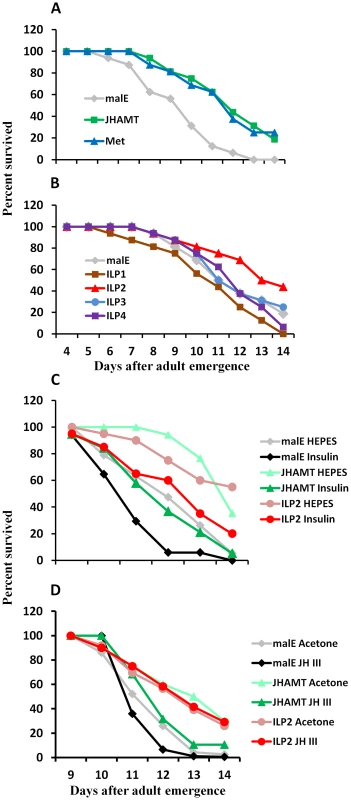 JH and insulin regulate starvation resistance.