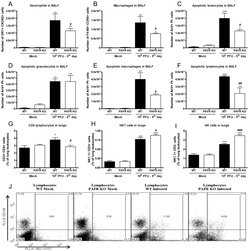 Leukocyte populations in lungs following Influenza A/WSN/33 H1N1 infection of WT and PAFR deficient mice.
