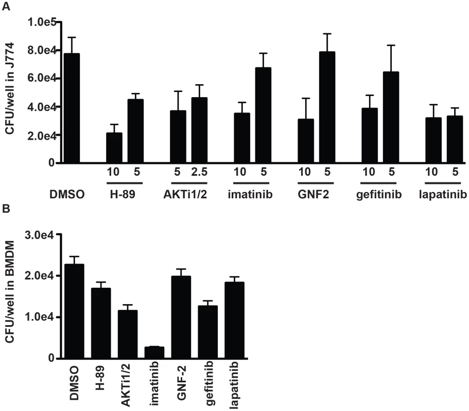 Inhibitors of protein kinases impair mycobacterial growth in macrophages.