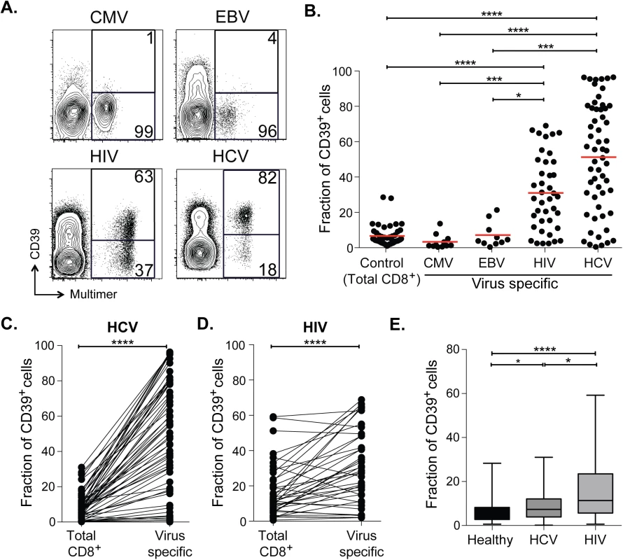 CD39 is highly expressed by virus-specific CD8<sup>+</sup> T cells in chronic viral infection.
