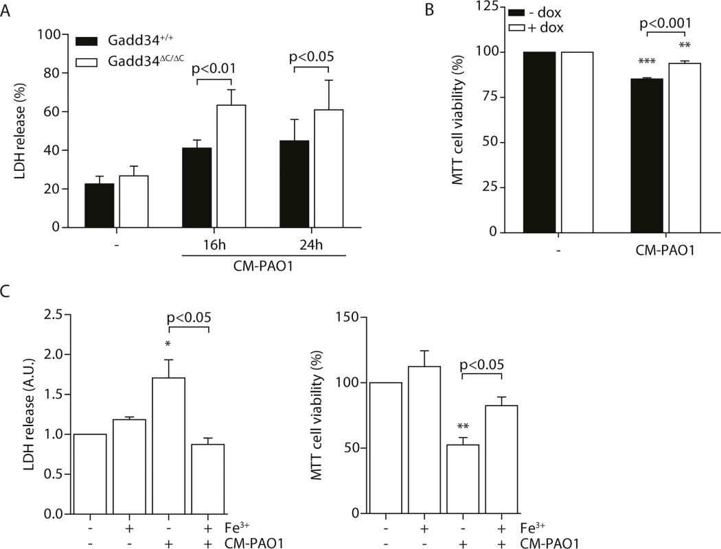 Induction of GADD34 protects against <i>P</i>. <i>aeruginosa</i> mediated cell cytotoxicity.