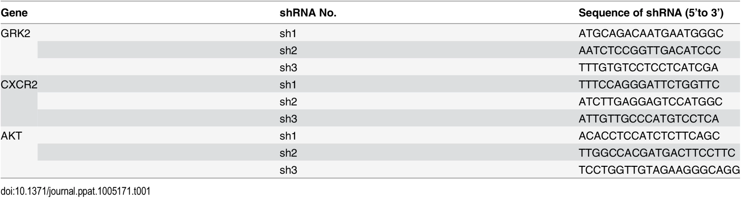 The sequences of the shRNAs.