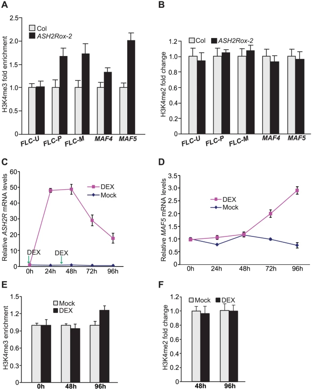 Gain of <i>ASH2R</i> Function Leads to Increased H3K4 Trimethylation in Its Direct Target Genes.