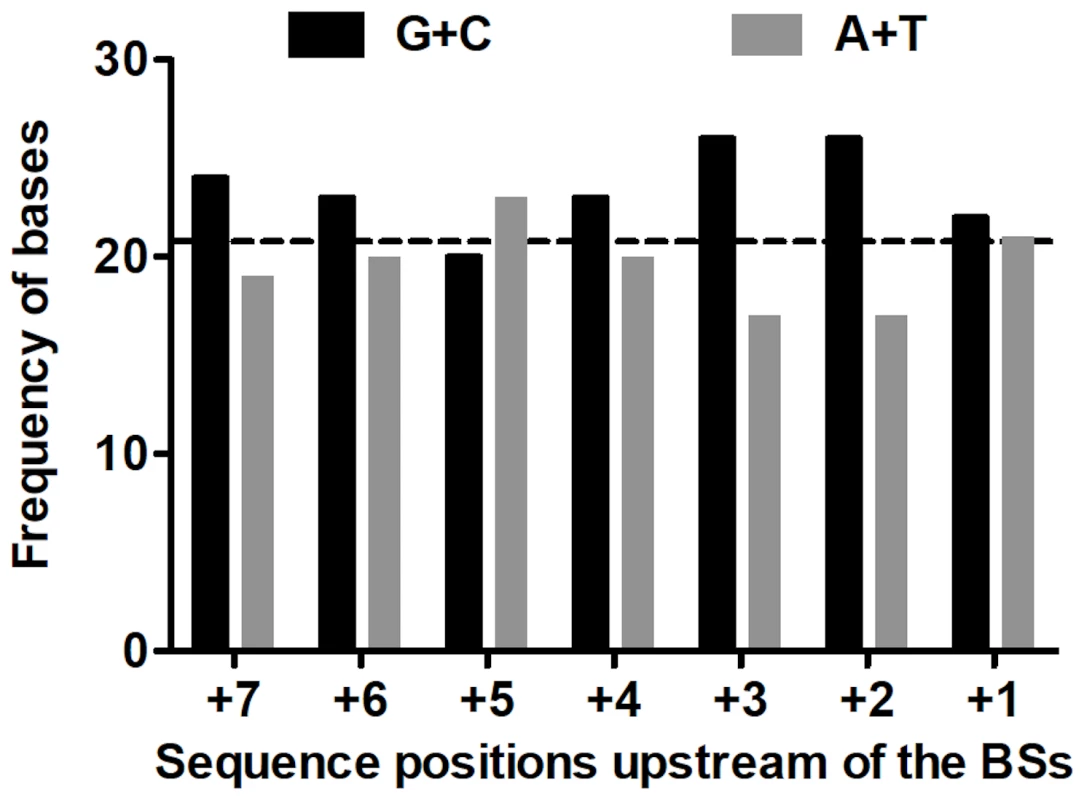 Frequencies of (G+C) and (A+T) upstream of base substitutions.