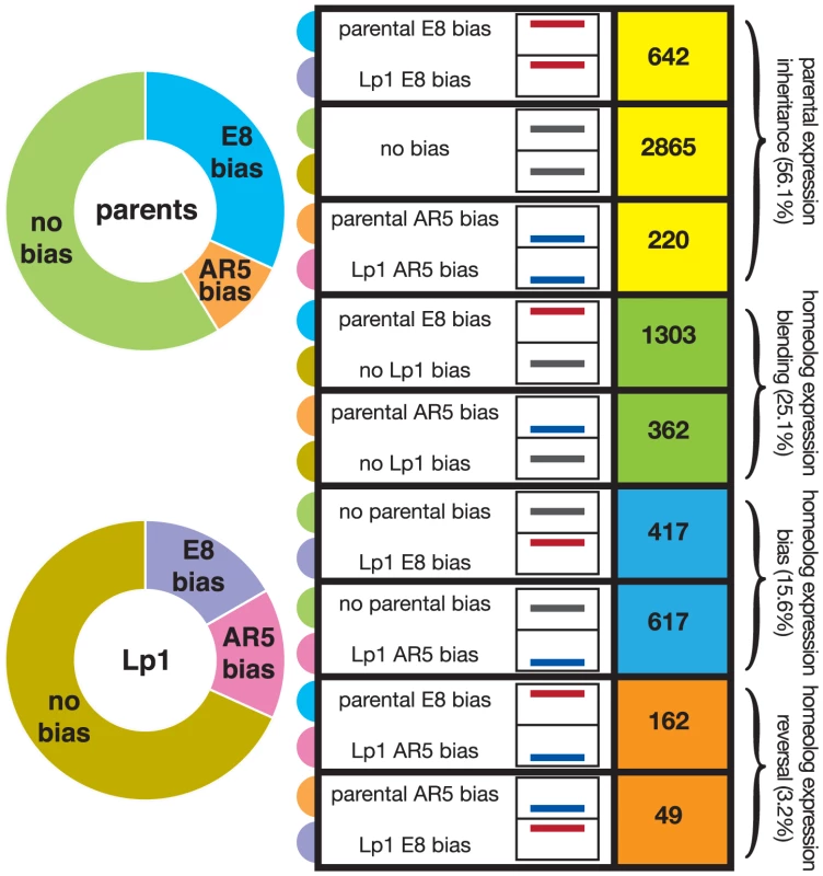 Fate of gene expression in the allopolyploid compared to the parents.