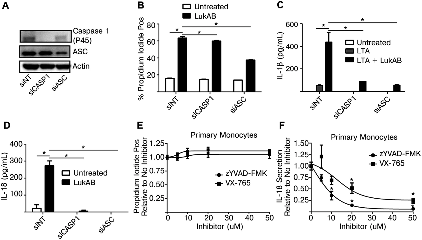 Genetic or pharmacologic disruption of Caspase 1 blocks LukAB-induced cytokine secretion but not cell death.