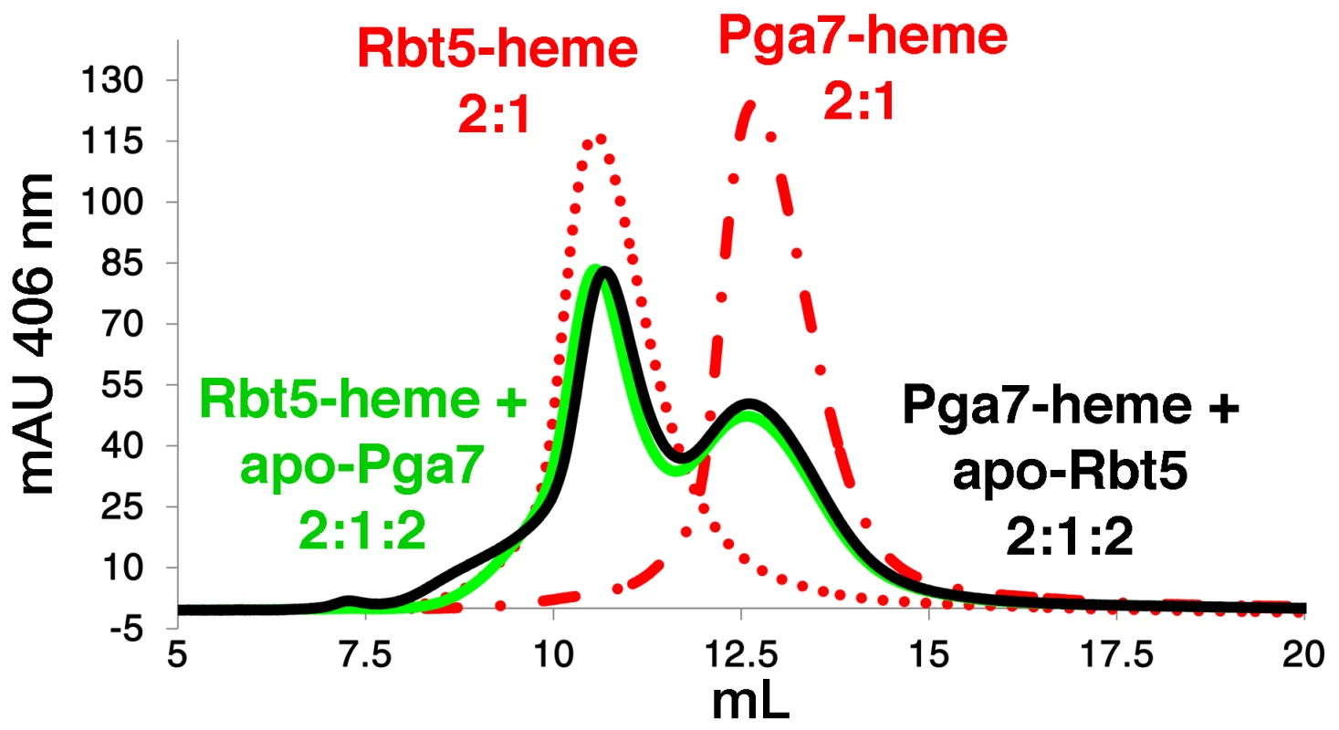 Transfer of heme between Rbt5 and Pga7.