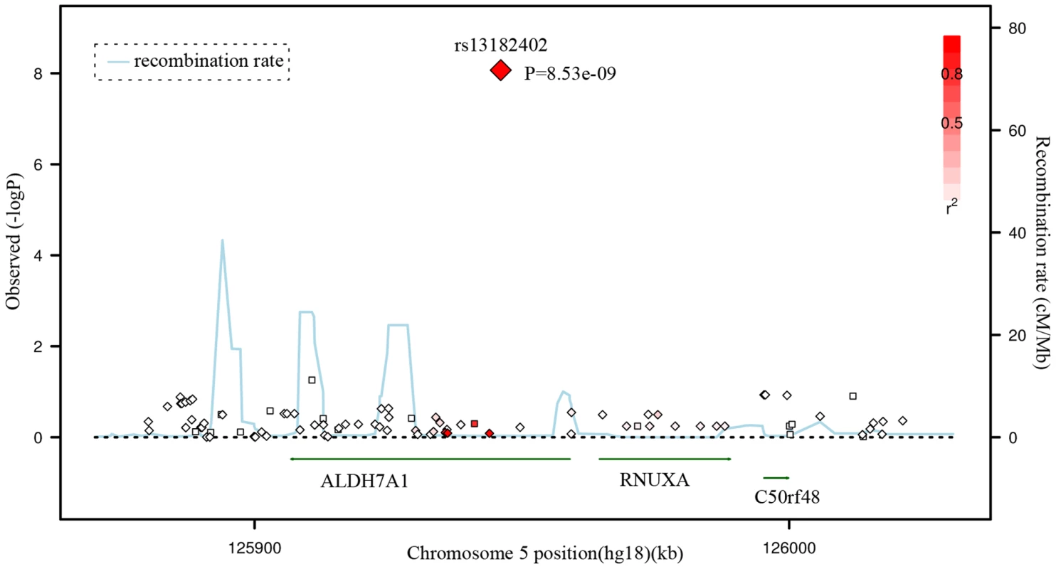 Regional Association Plot for rs13182402 on chromosome 5 in the GWAS stage.